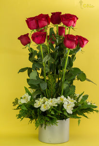 12 rosas rojas estilo fuente