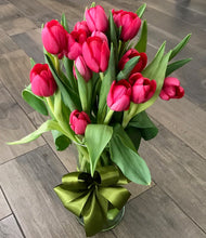 20 Tulipanes